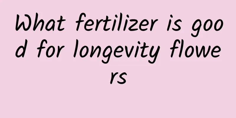 What fertilizer is good for longevity flowers