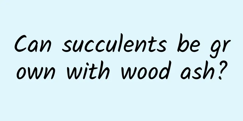 Can succulents be grown with wood ash?