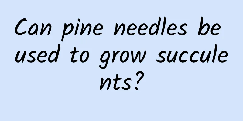 Can pine needles be used to grow succulents?