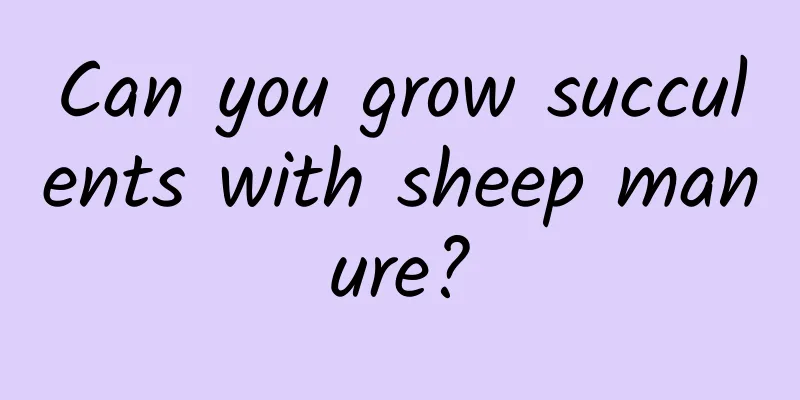 Can you grow succulents with sheep manure?