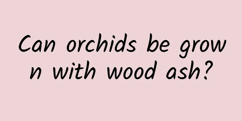 Can orchids be grown with wood ash?