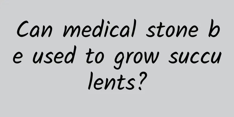 Can medical stone be used to grow succulents?