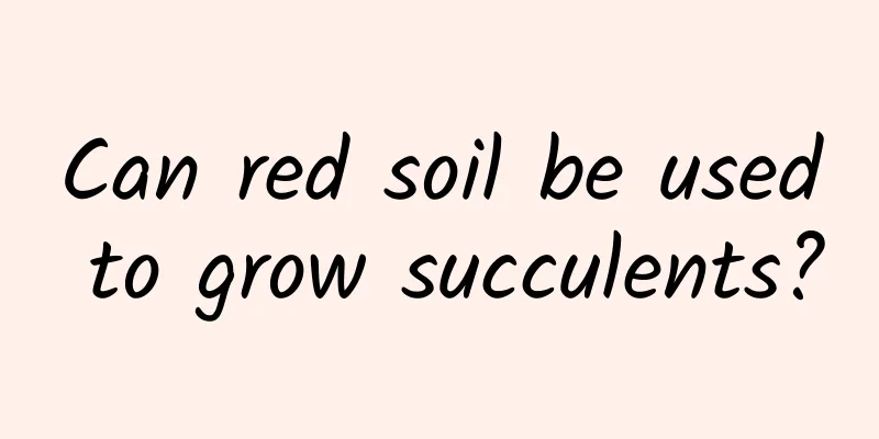 Can red soil be used to grow succulents?