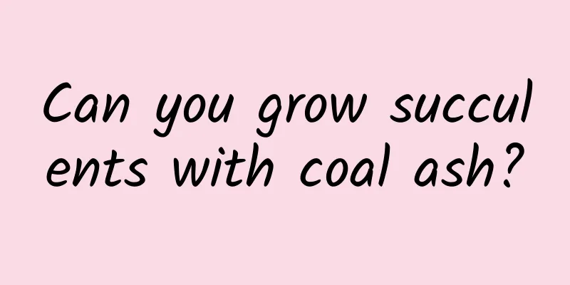 Can you grow succulents with coal ash?
