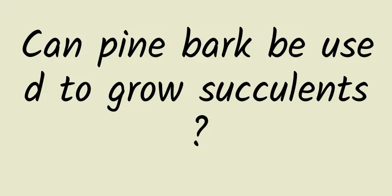 Can pine bark be used to grow succulents?