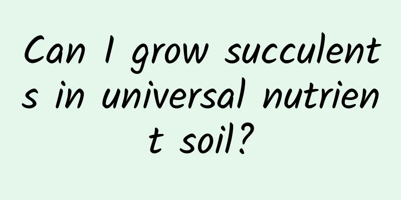 Can I grow succulents in universal nutrient soil?