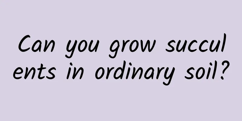 Can you grow succulents in ordinary soil?
