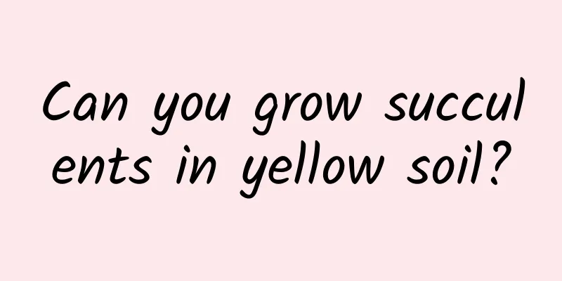 Can you grow succulents in yellow soil?
