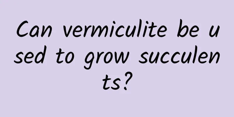 Can vermiculite be used to grow succulents?