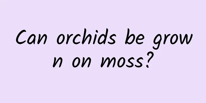 Can orchids be grown on moss?