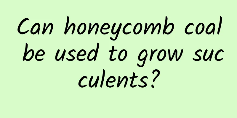 Can honeycomb coal be used to grow succulents?