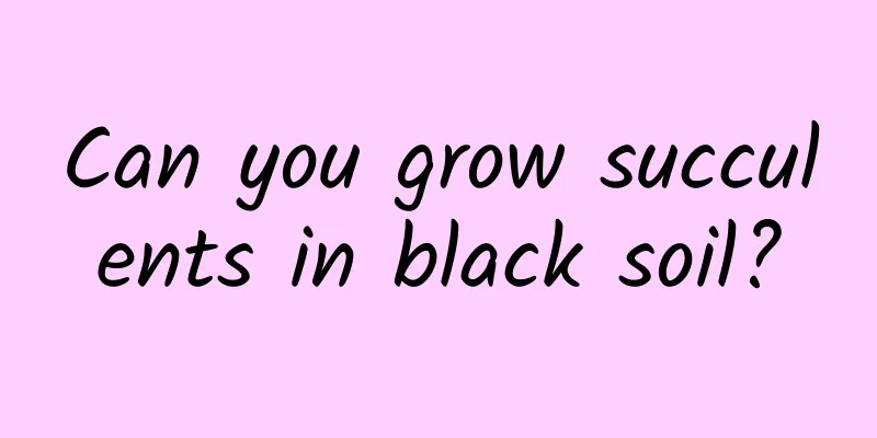 Can you grow succulents in black soil?