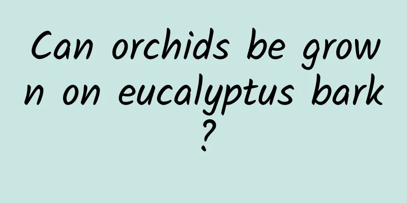 Can orchids be grown on eucalyptus bark?