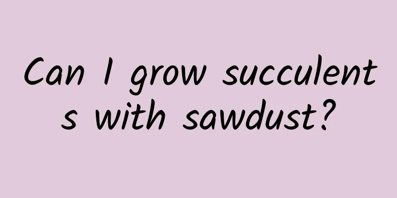 Can I grow succulents with sawdust?