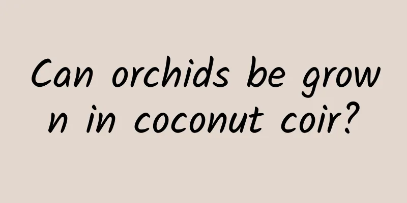 Can orchids be grown in coconut coir?