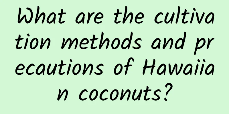 What are the cultivation methods and precautions of Hawaiian coconuts?