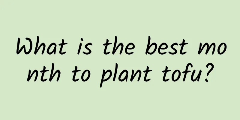 What is the best month to plant tofu?