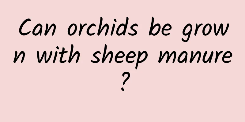 Can orchids be grown with sheep manure?