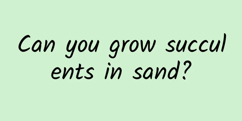 Can you grow succulents in sand?