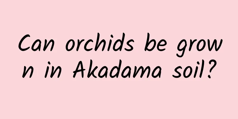 Can orchids be grown in Akadama soil?