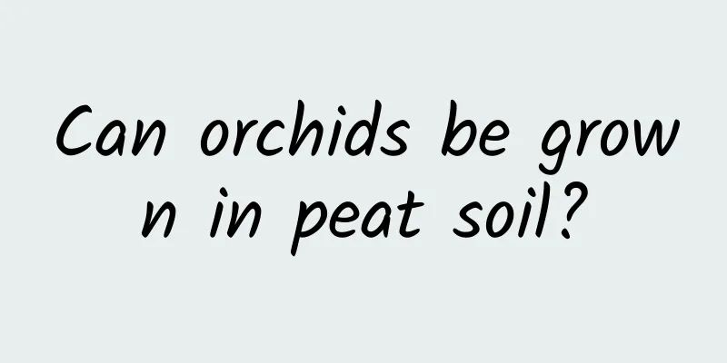 Can orchids be grown in peat soil?