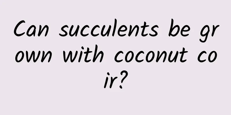 Can succulents be grown with coconut coir?
