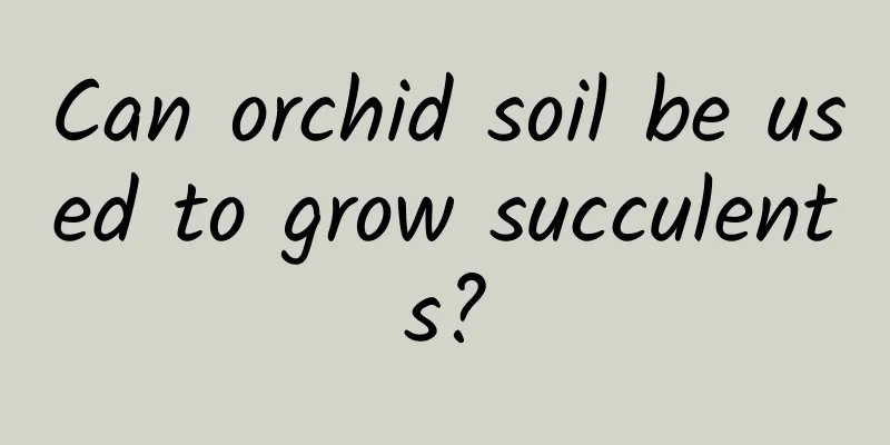 Can orchid soil be used to grow succulents?
