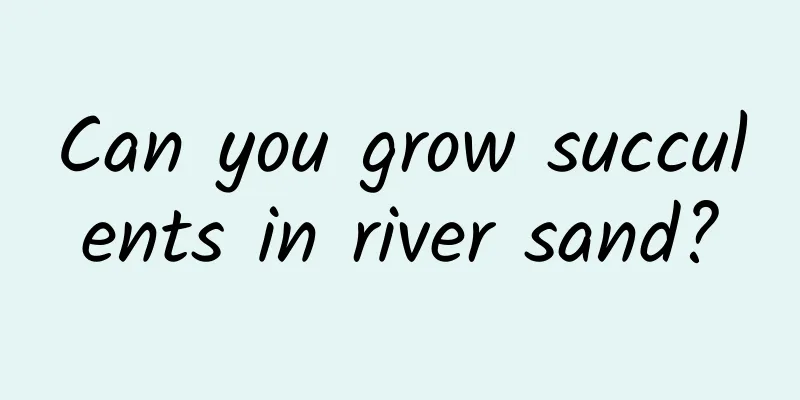 Can you grow succulents in river sand?