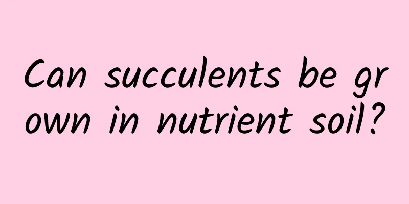 Can succulents be grown in nutrient soil?