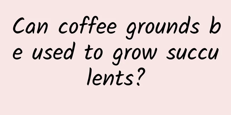 Can coffee grounds be used to grow succulents?