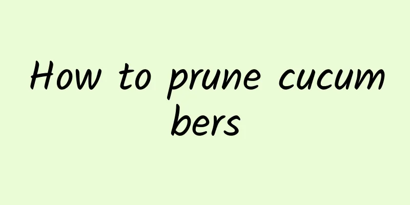 How to prune cucumbers