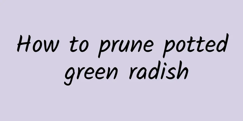 How to prune potted green radish