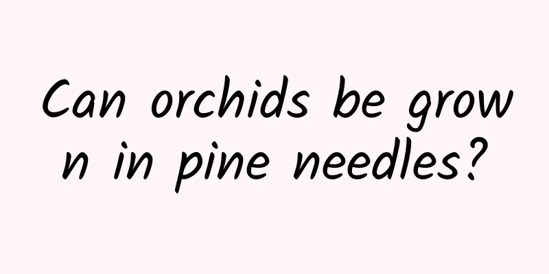 Can orchids be grown in pine needles?