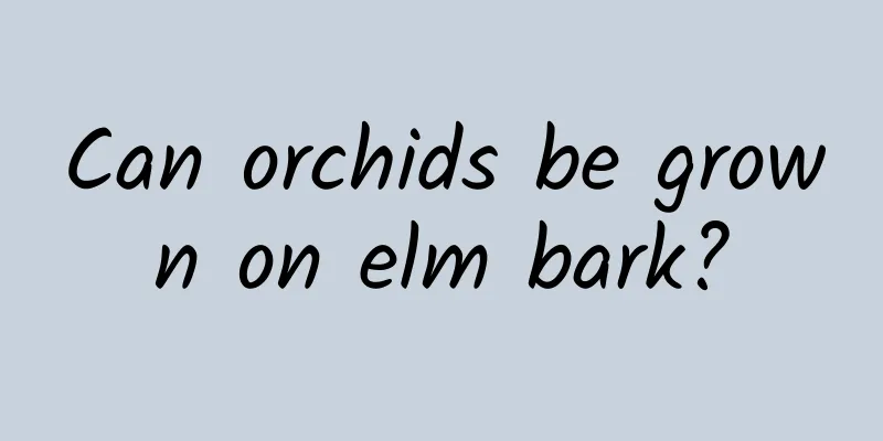 Can orchids be grown on elm bark?