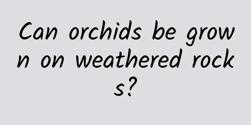 Can orchids be grown on weathered rocks?