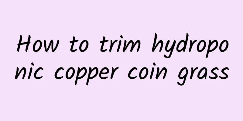 How to trim hydroponic copper coin grass