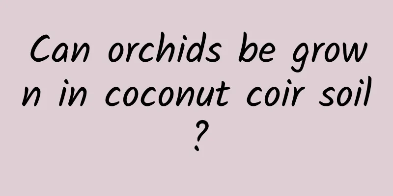 Can orchids be grown in coconut coir soil?
