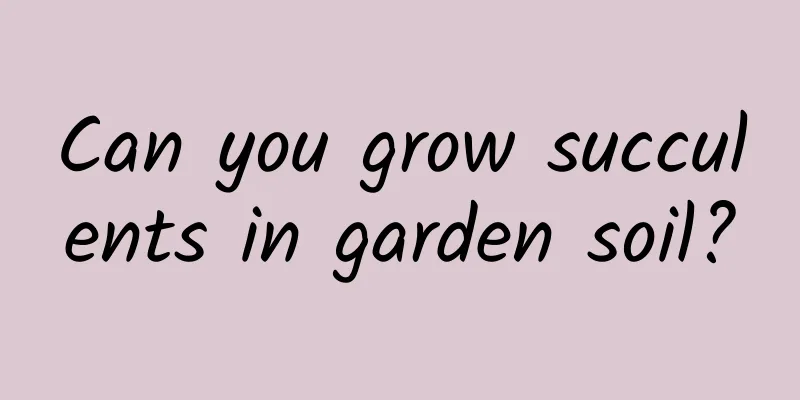 Can you grow succulents in garden soil?