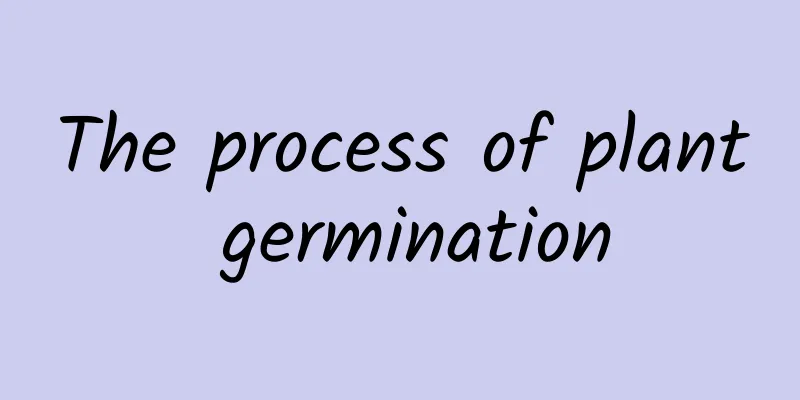 The process of plant germination