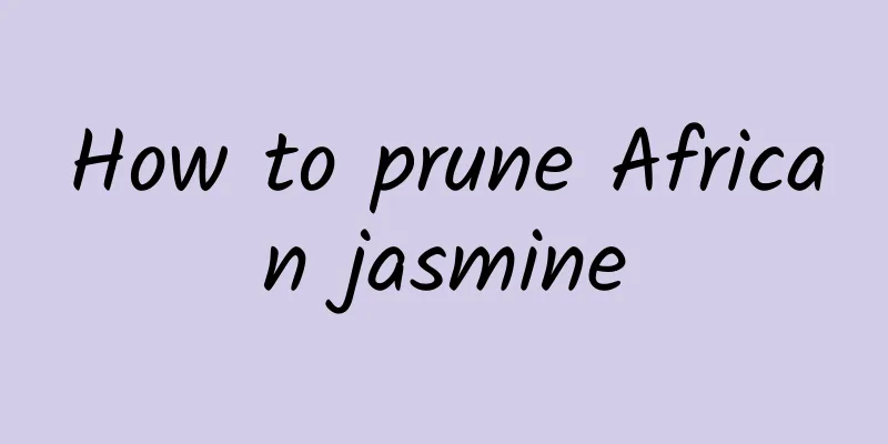How to prune African jasmine