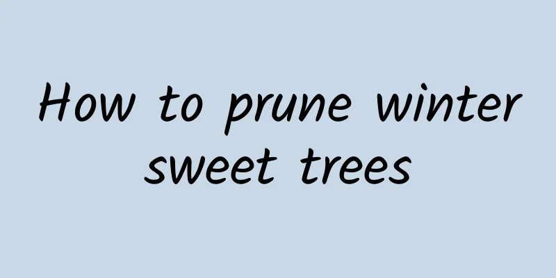 How to prune wintersweet trees