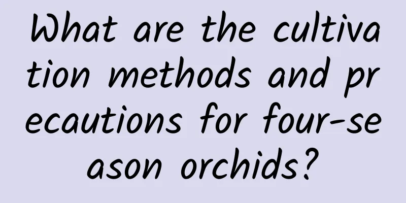 What are the cultivation methods and precautions for four-season orchids?