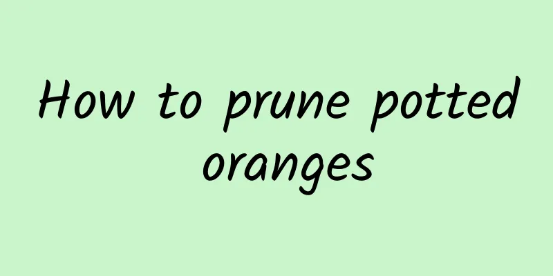 How to prune potted oranges
