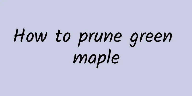 How to prune green maple