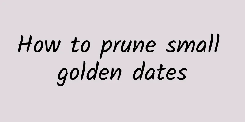 How to prune small golden dates