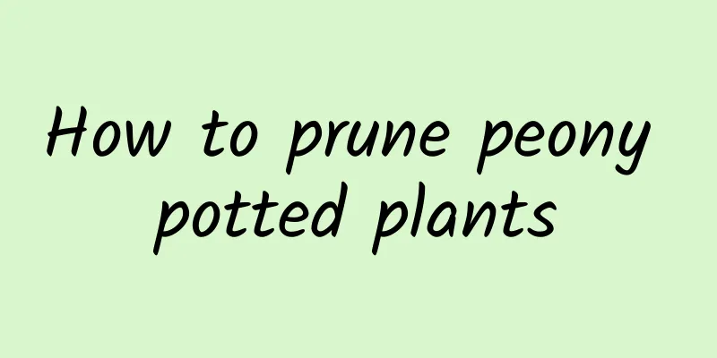 How to prune peony potted plants