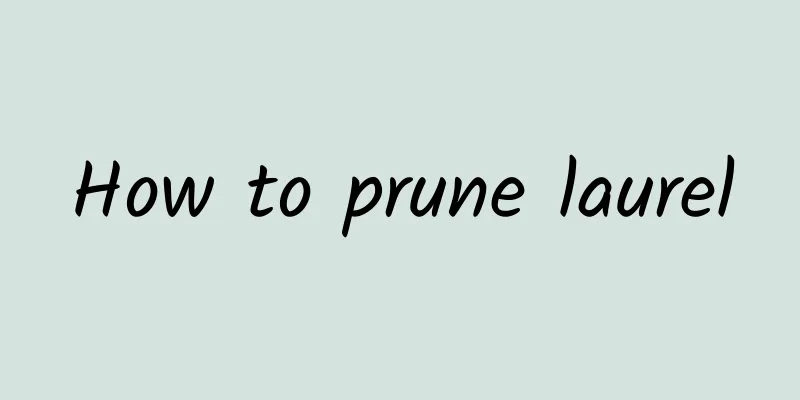 How to prune laurel