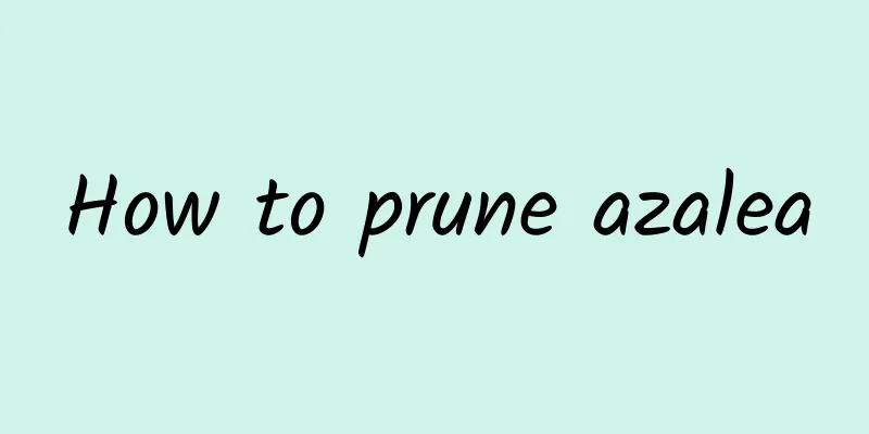 How to prune azalea