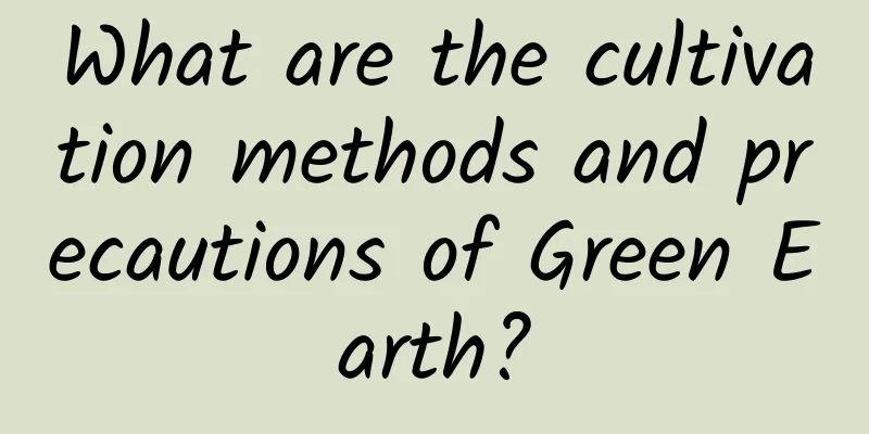 What are the cultivation methods and precautions of Green Earth?