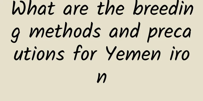 What are the breeding methods and precautions for Yemen iron